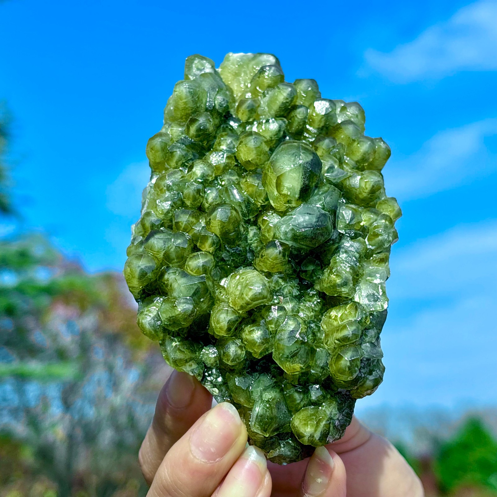 405G Natural Spherical Prehnite Crystal Gem Mineral Specimen&Crystallization