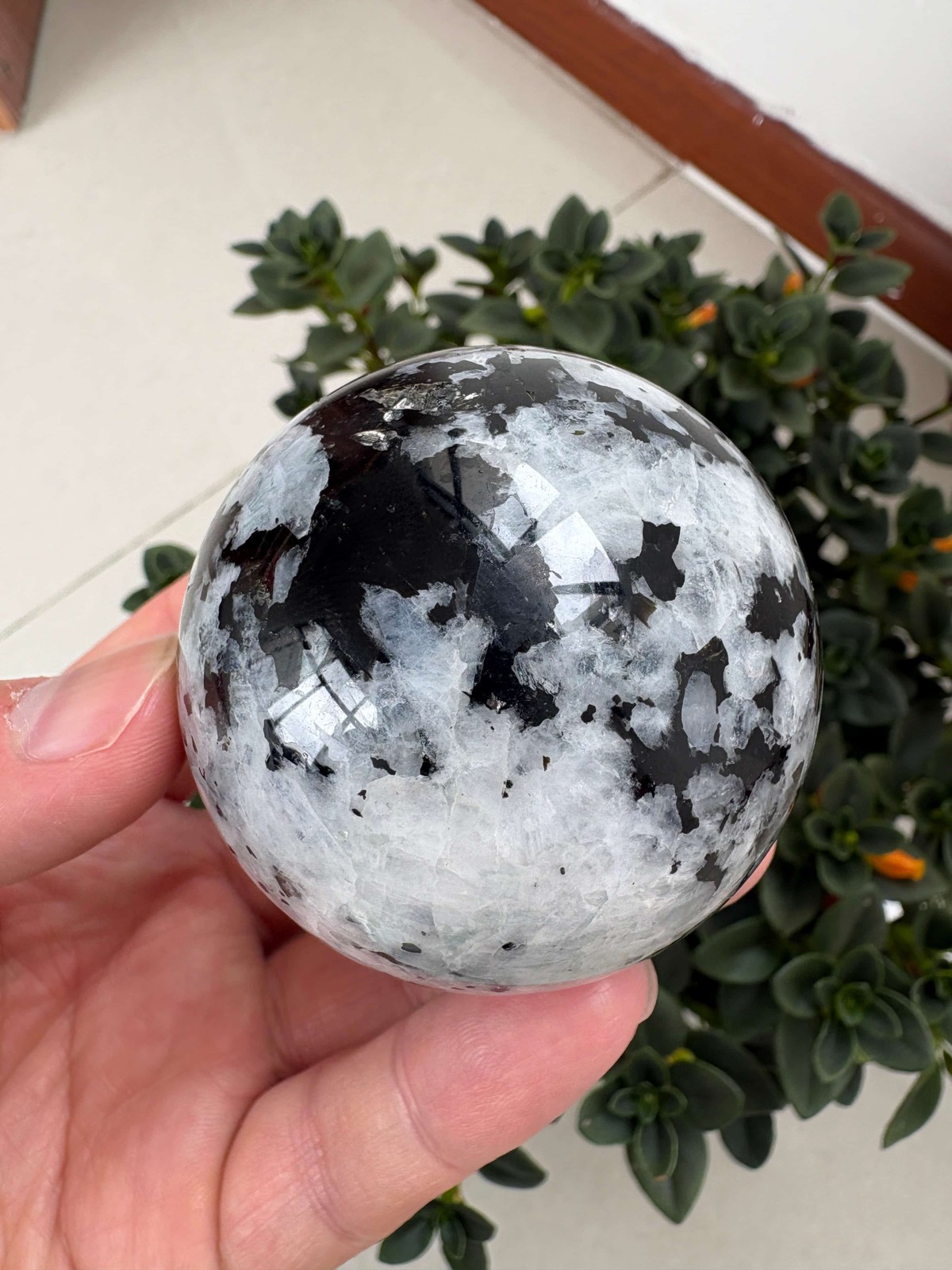 Natural Black And White Moonstone Sphere 2.55″ 0.677 lb Crystal Ball Healing