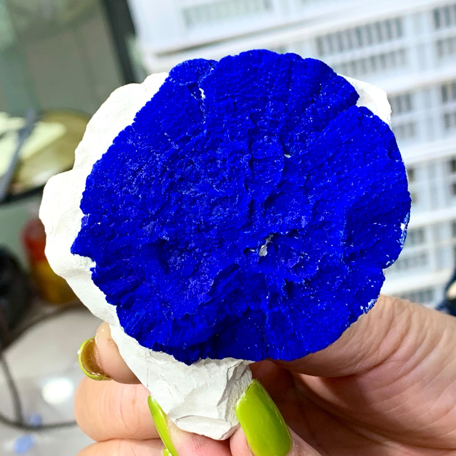 147G Sunflower azurite Fantastic Azurite Suns On Kaoline from Malbunka Australia