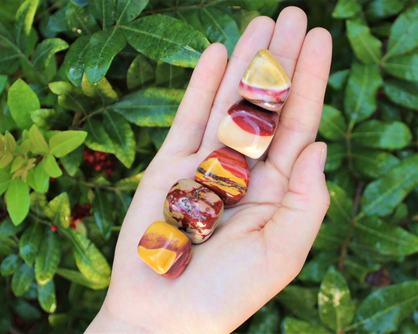 1/4 lb Mookaite Jasper Tumbled Stones (Crystal Healing Tumble Mookite) 4 oz