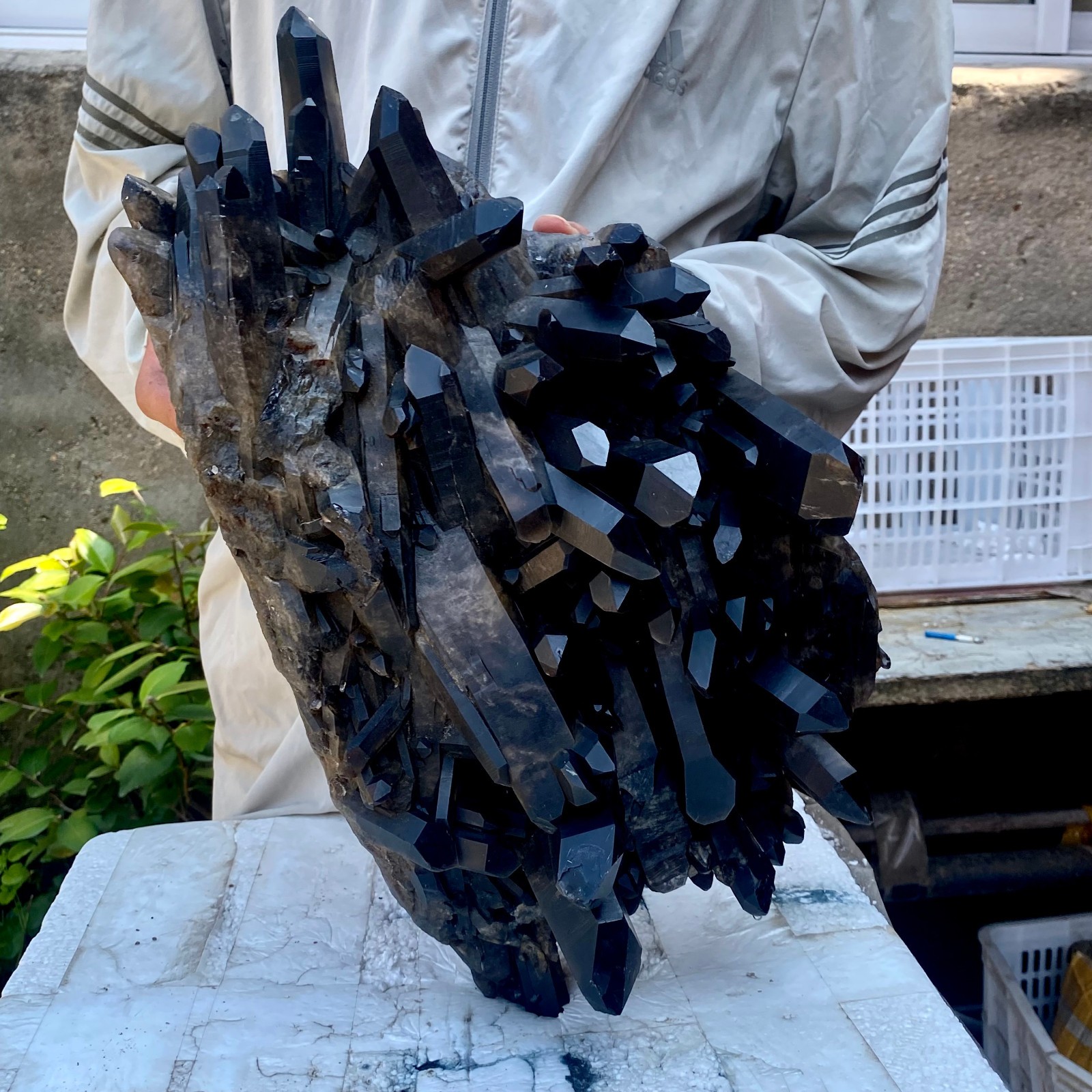 26LB Tea black Crystal quartz Cluster Mineral Specimen Healing reiki