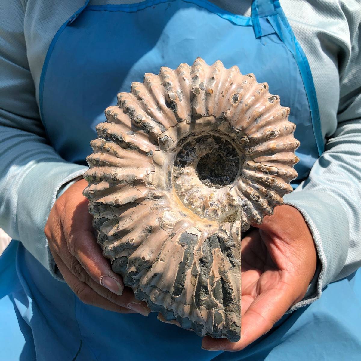 3.74LB Natural Beautiful Ammonite Fossil Conch Crystal Specimen Healing 5389