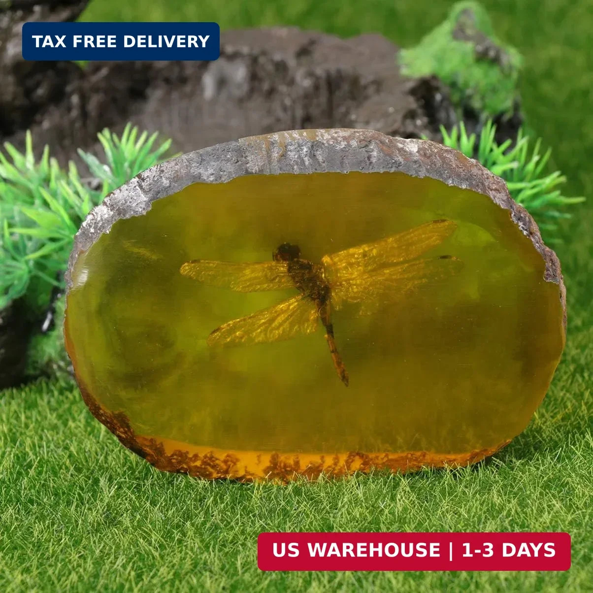 Garneck Amber Specimen Pendant with Insect Inside Unique Resin Ornament for Scie