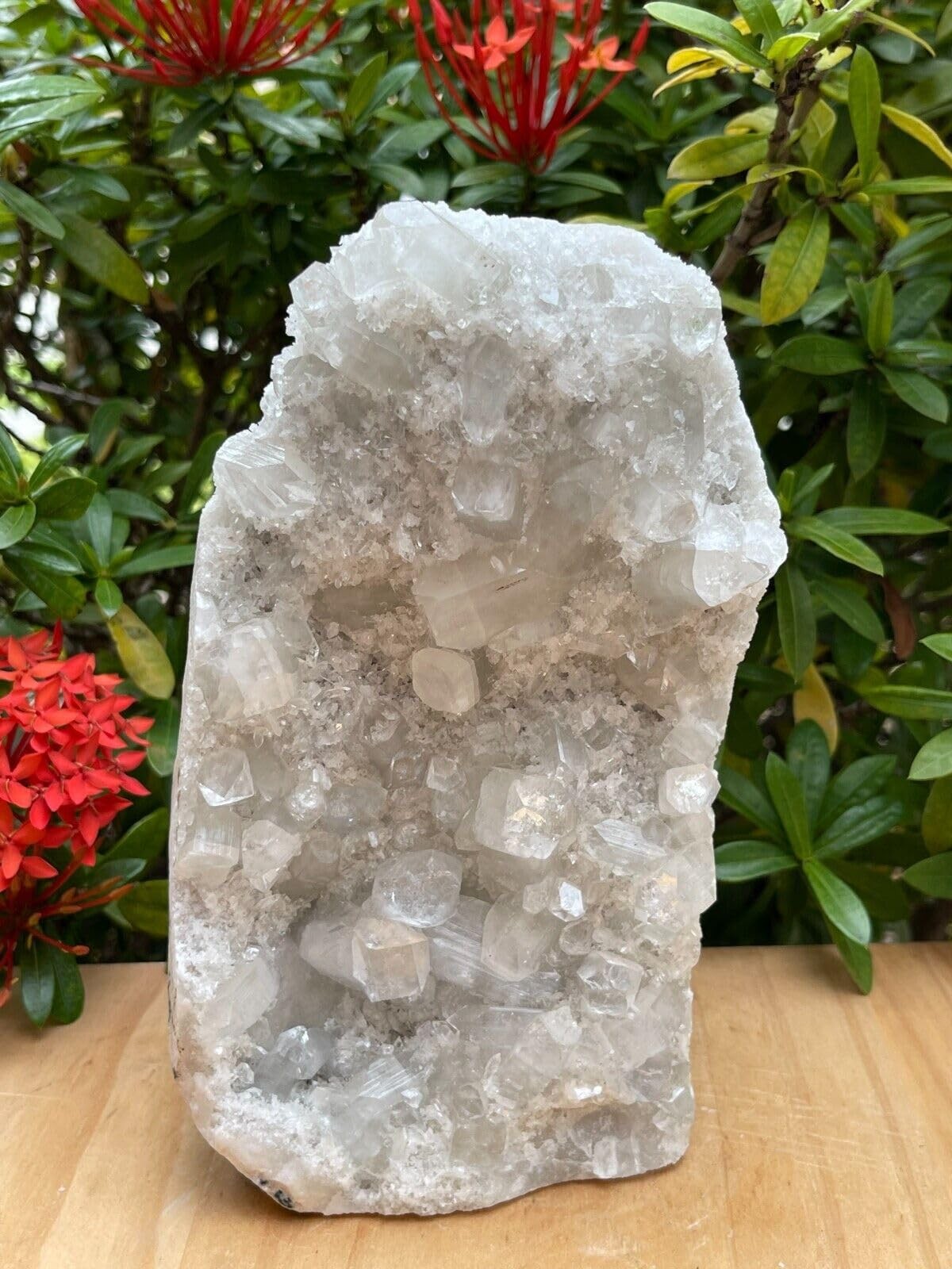 GAF TREASURES Apophyllite Cluster Geode Free Standing | Natural 4-5 lb, White