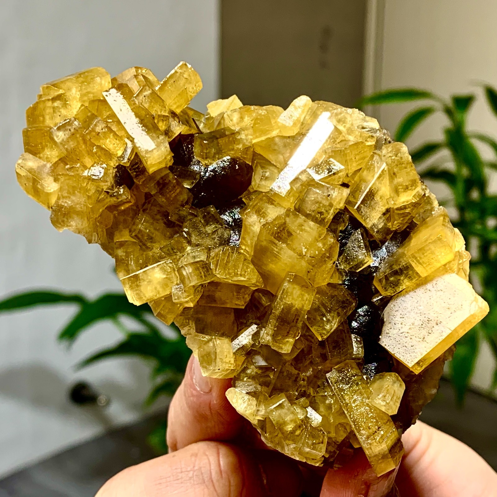 300G Shiny Golden Cuboid Barite Crystal Based on the Purple Spherical Fluorite
