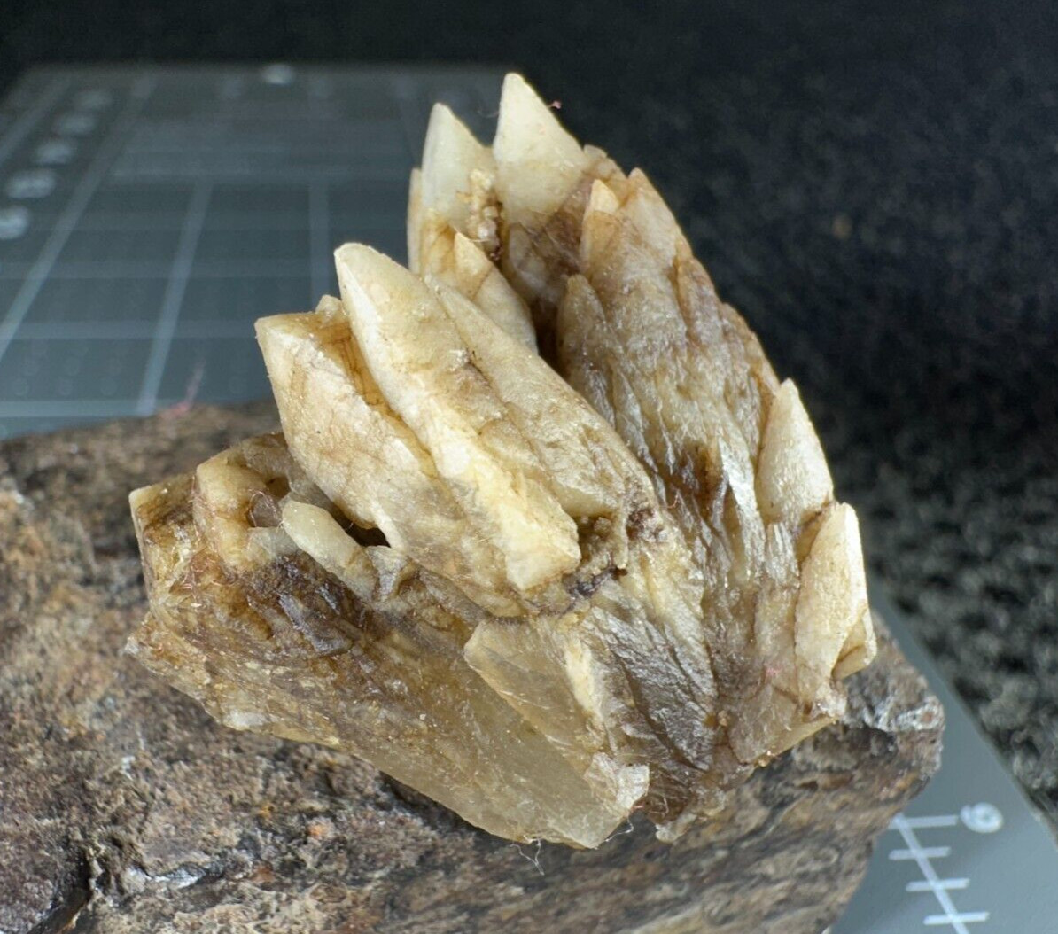 ➤ 1-3/8″ DOGTOOTH CALCITE CLUSTER Pleasant Ridge Rensselaer Indiana VIDEO➤430