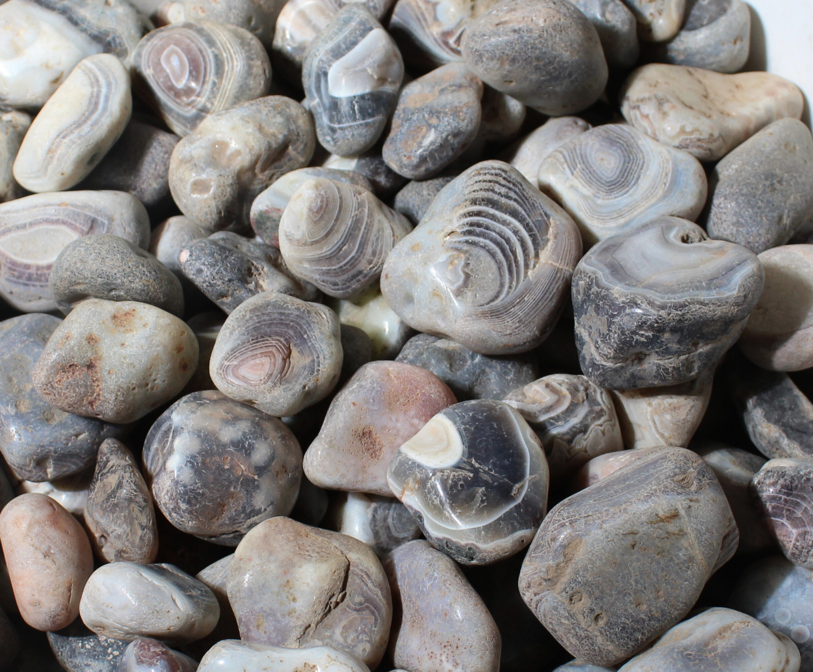 Gray Botswana Agate – Rough Rocks for Tumbling – Bulk Wholesale 1 LB+ options
