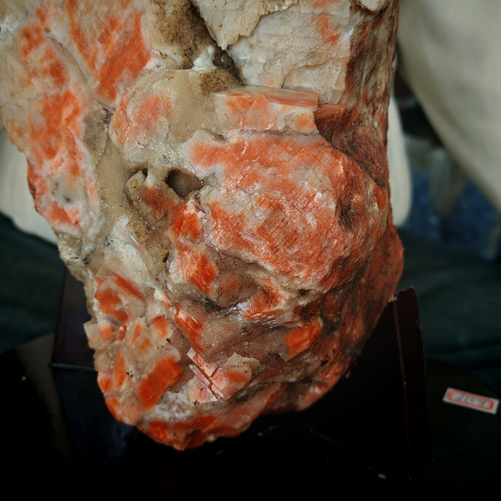 41.096LBNatural Sun Stone Sea Blue Treasure Symbiotic Primitive Stone Specimen
