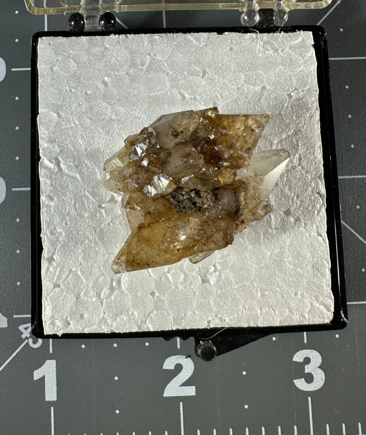 ➤ 1-3/8″ DOGTOOTH CALCITE CLUSTER Pleasant Ridge Rensselaer Indiana VIDEO➤434