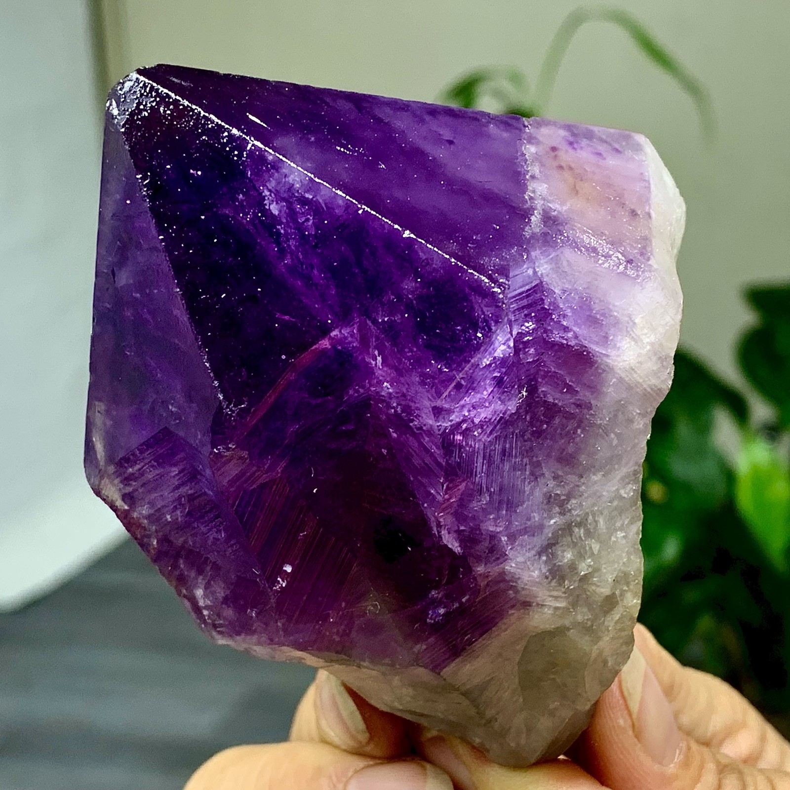 323G Natural Amethyst Quartz Crystal Single-End Terminated Wand Point Healing
