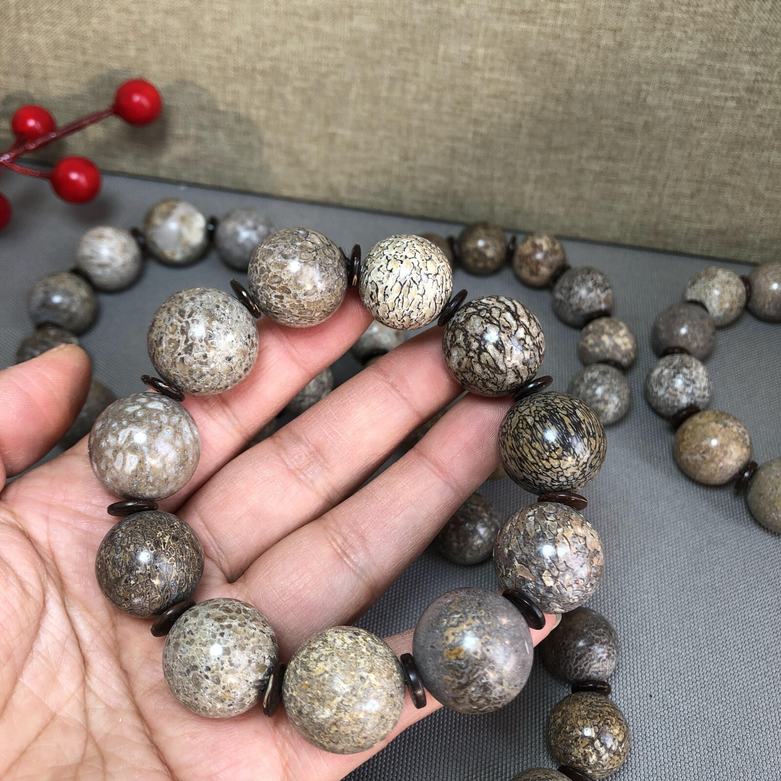 6Pcs Natural polished dinosaur bone bracelets specimen Madagascar 17-18-19mm
