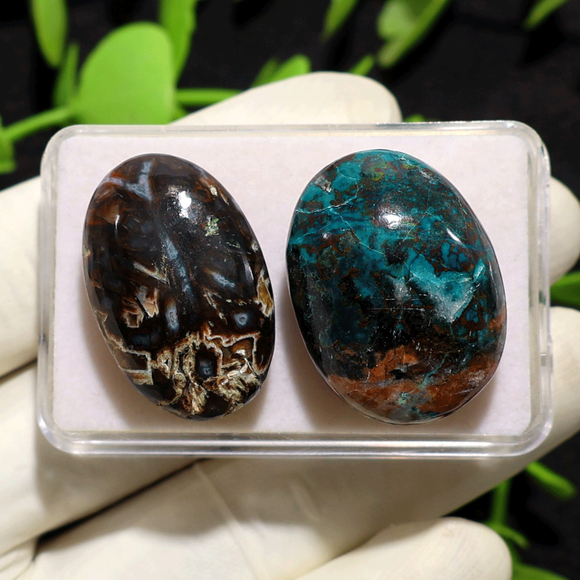 Earth & Ocean Pocket Pair • Turkish Agate & Azurite Palmstones Natural Crystals
