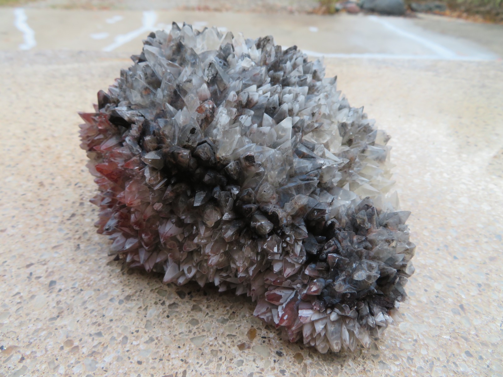 Very Rare Superb Excellent Calico Dog Tooth Calcite From San Antonio mine,Mexico