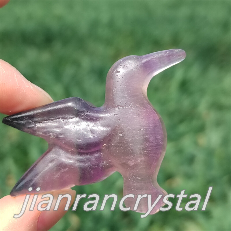 2″ Carved Natural Fluorite HummingBird Reiki Crystal Skull Decor Crystal Gift 1x