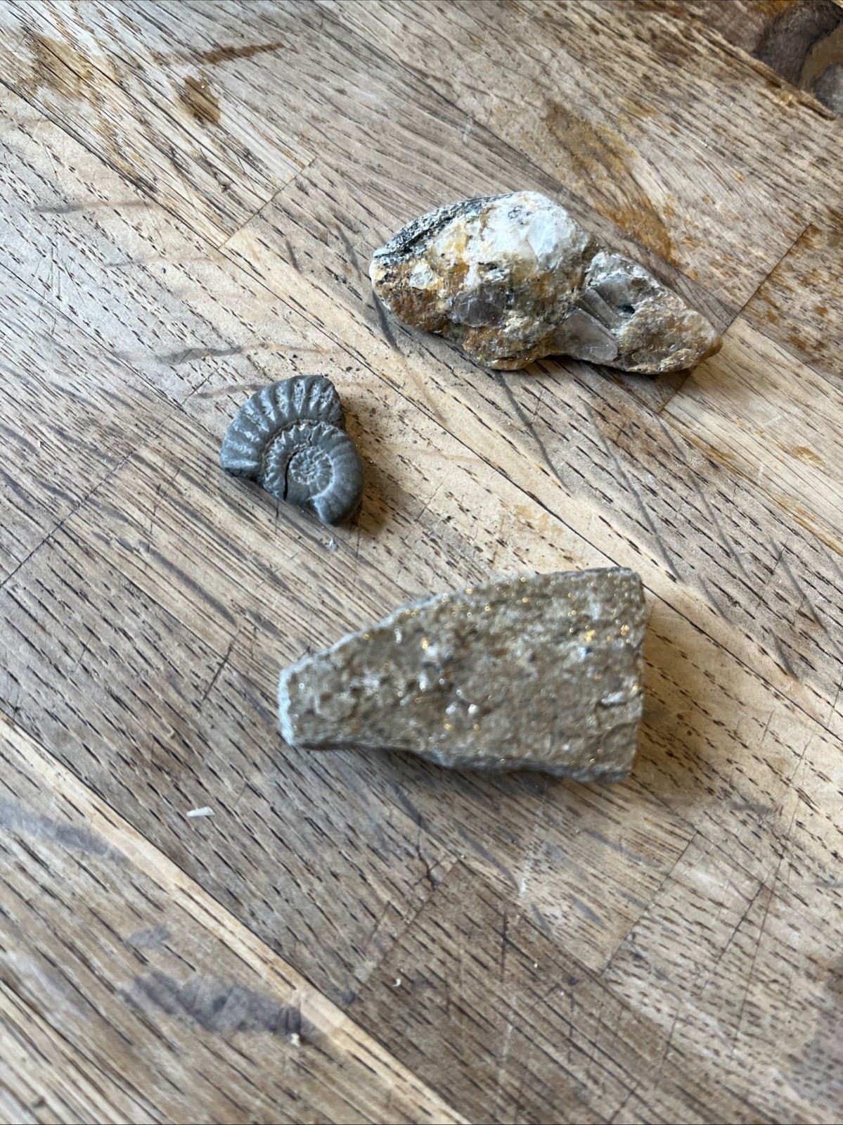 Job Lot Crystals Rocks Fossils Etc Mixed Bundle Mixed Sizes