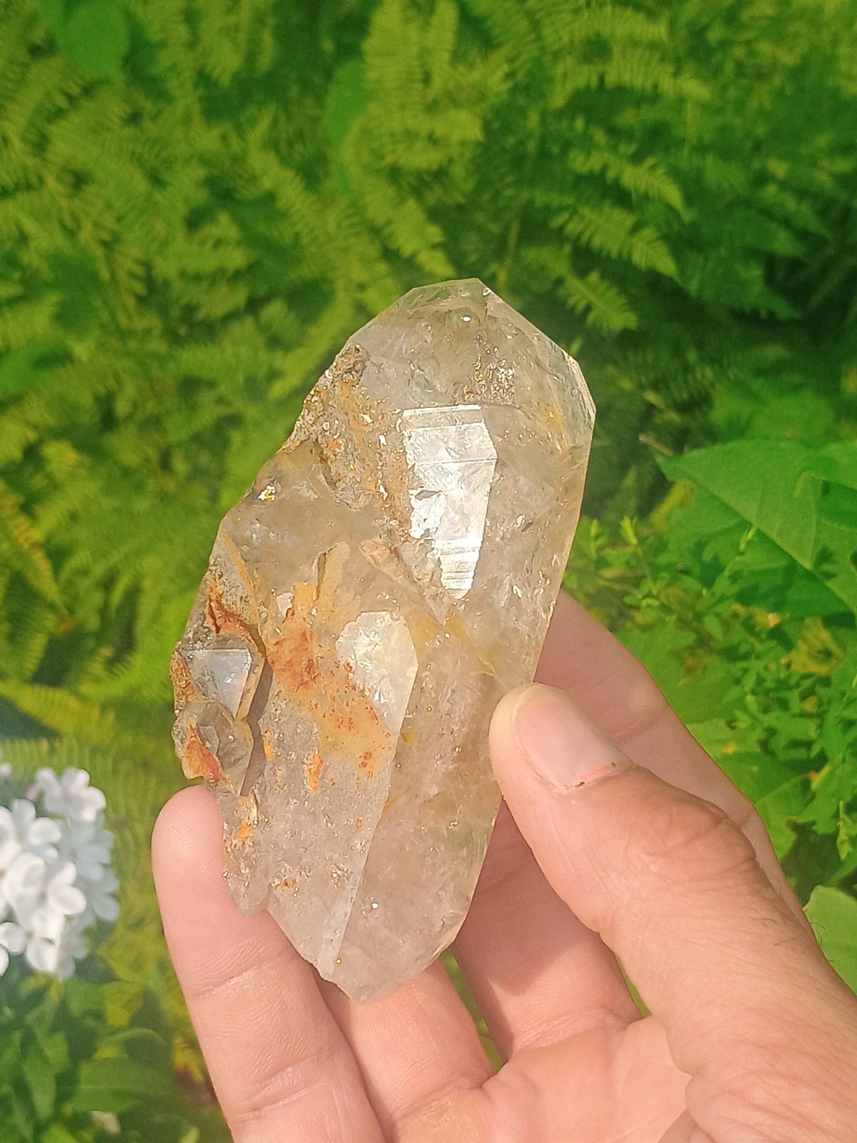 (RARE!!!) Herkimer 💎 Golden Healer Miner Direct From NY ❤️