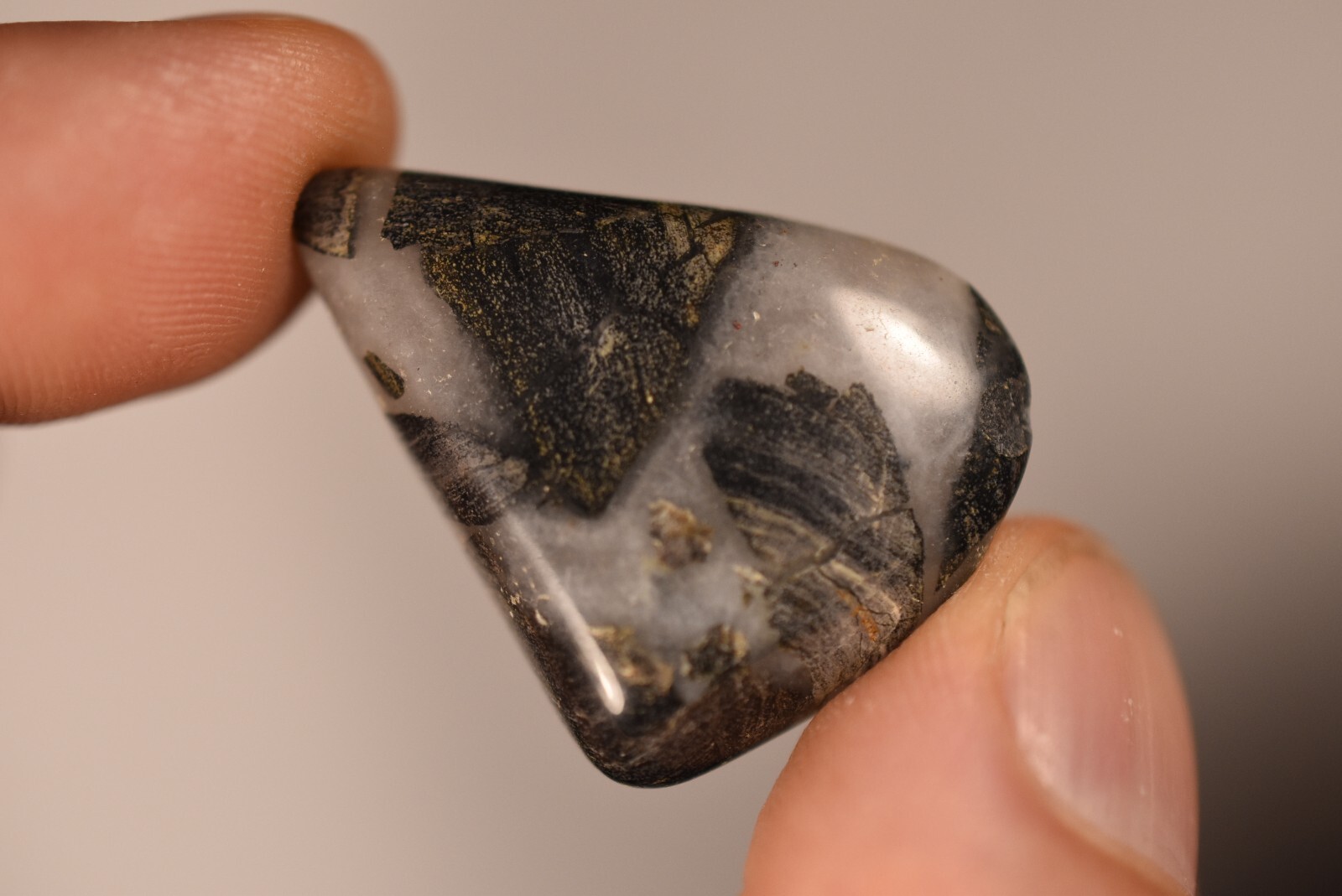 5 *SILVER LEAF JASPER* Tumbled Stones 2-4cm 71g Natural Stone
