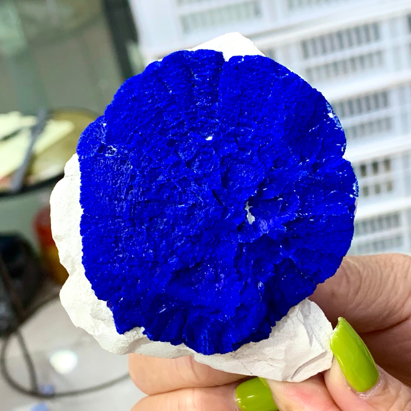 147G Sunflower azurite Fantastic Azurite Suns On Kaoline from Malbunka Australia
