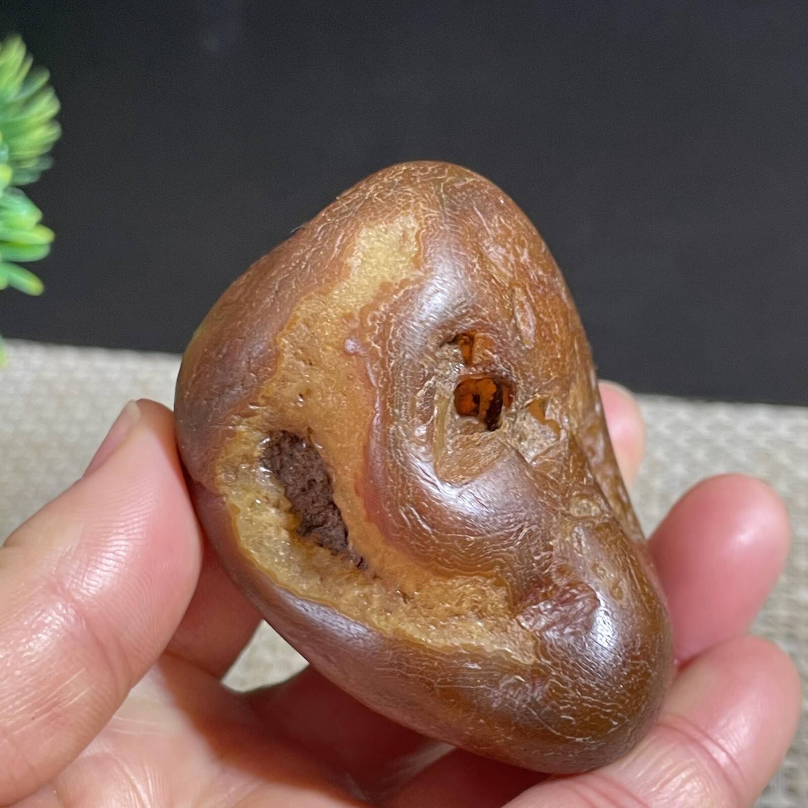 146g Bonsai Suiseki-Gobi Agate Eyes Stone-Rare Stunning Viewing