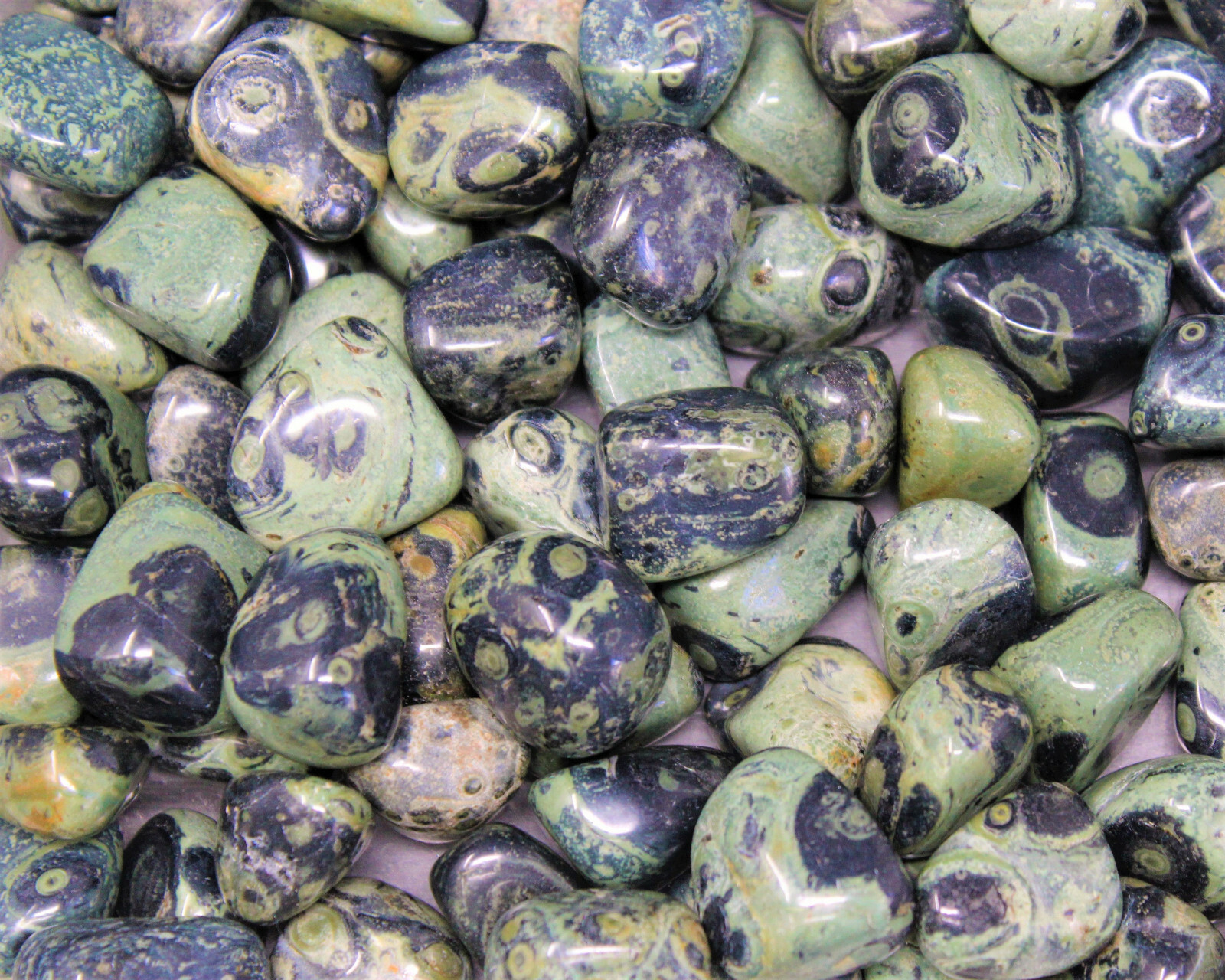 Kambaba Jasper Tumbled: Choose How Many Pieces (Tumbled Crocodile Jasper)