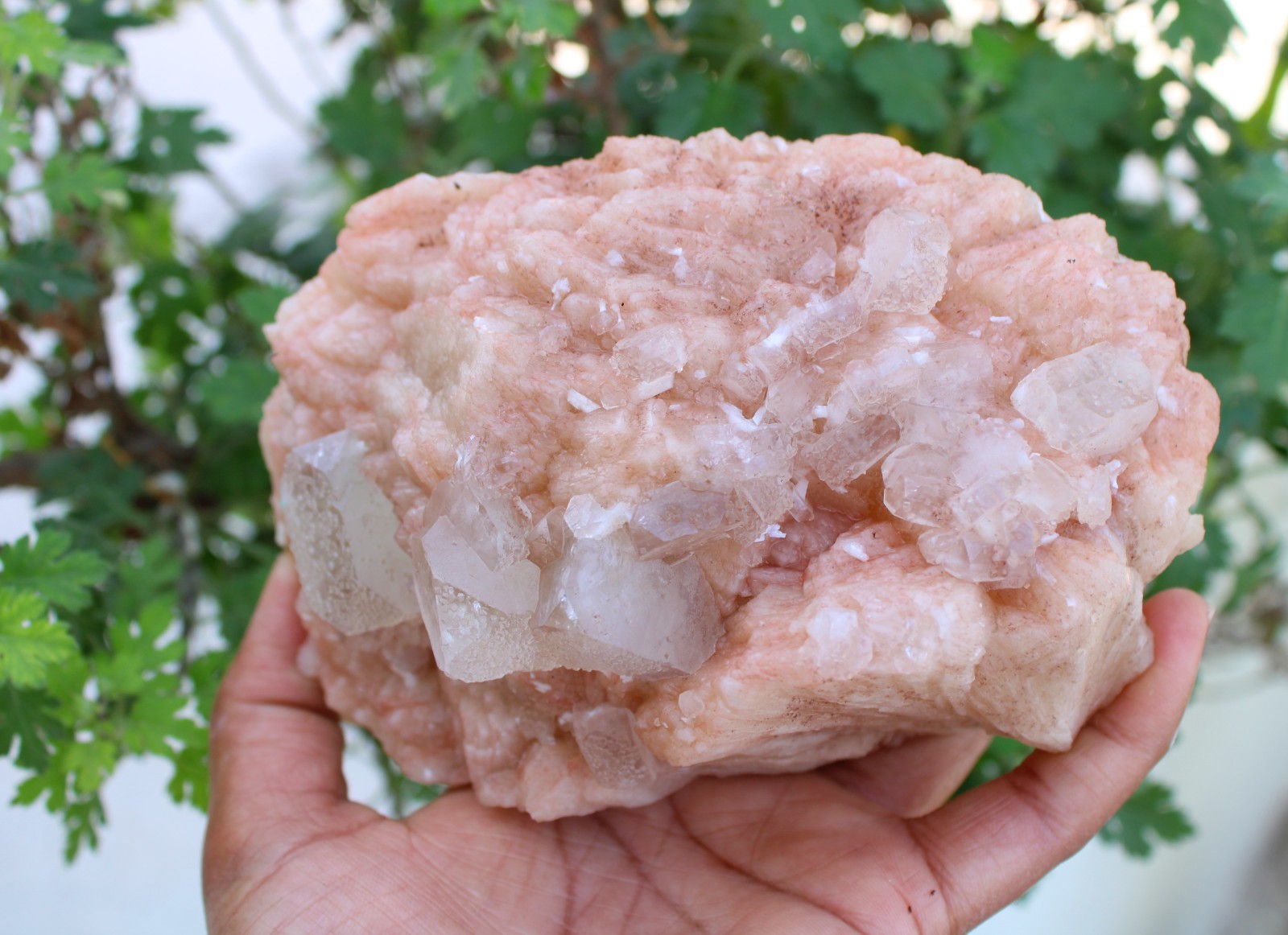 APOPHYLLITE CRYSTALS ON STILBITE NATURAL MINERALS SPECIMEN #A38
