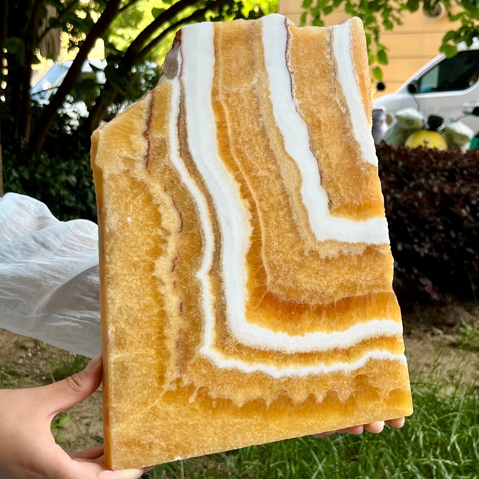 6.2 lb Authentic Yellow Calcite Polished Both Sides Crystal Slice Display