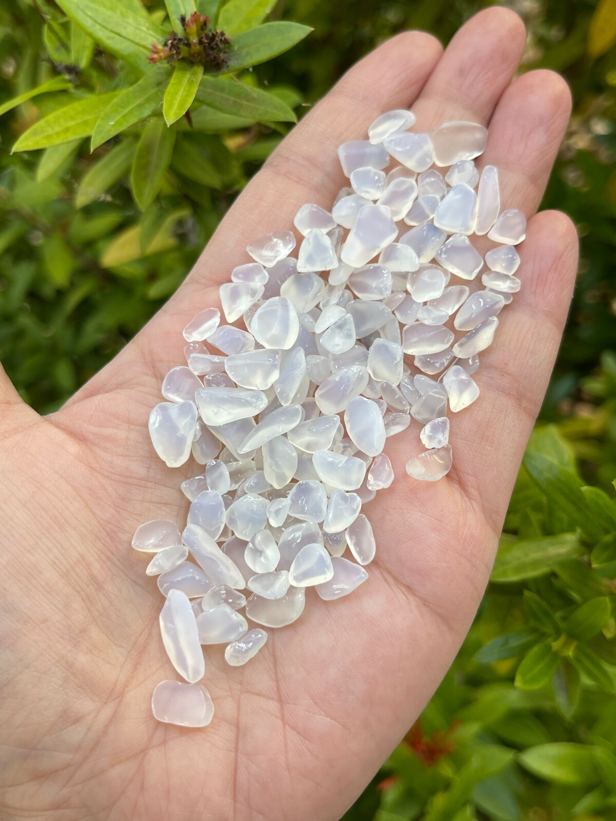 Opalite Semi Tumbled Gemstone Mini Chips 5 – 12 mm, Wholesale Bulk Lot