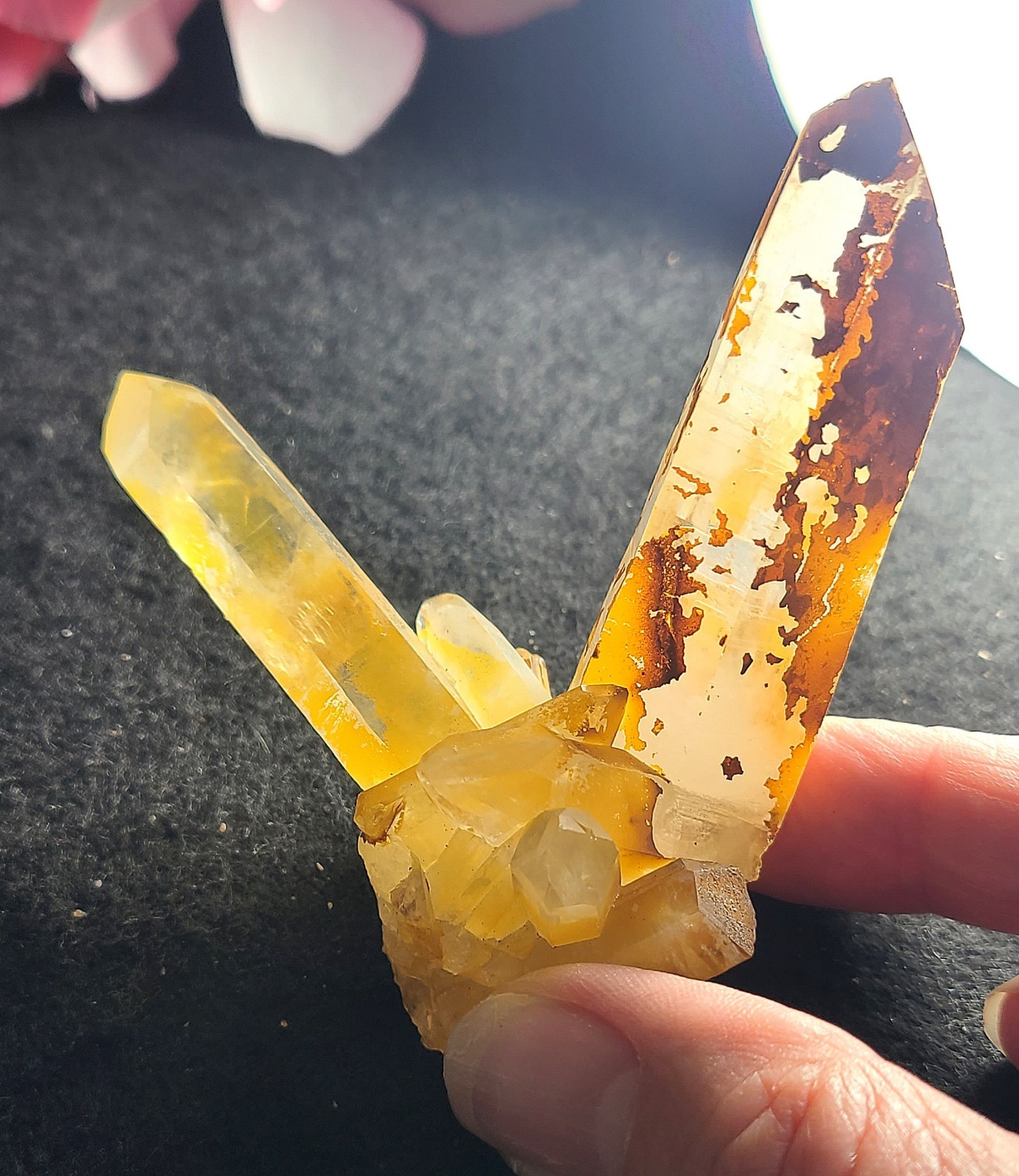 3.4″ 76g Pretty V Shape Golden Healer Quartz Crystal Cluster Stone Specimen