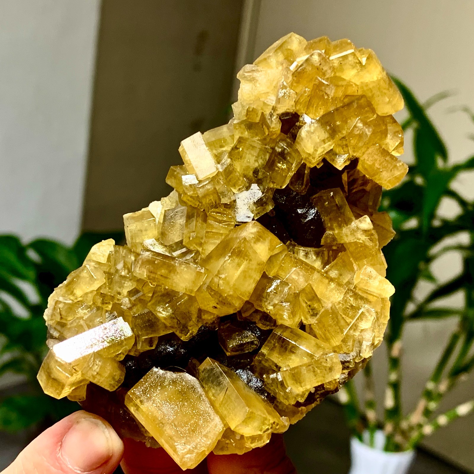 300G Shiny Golden Cuboid Barite Crystal Based on the Purple Spherical Fluorite