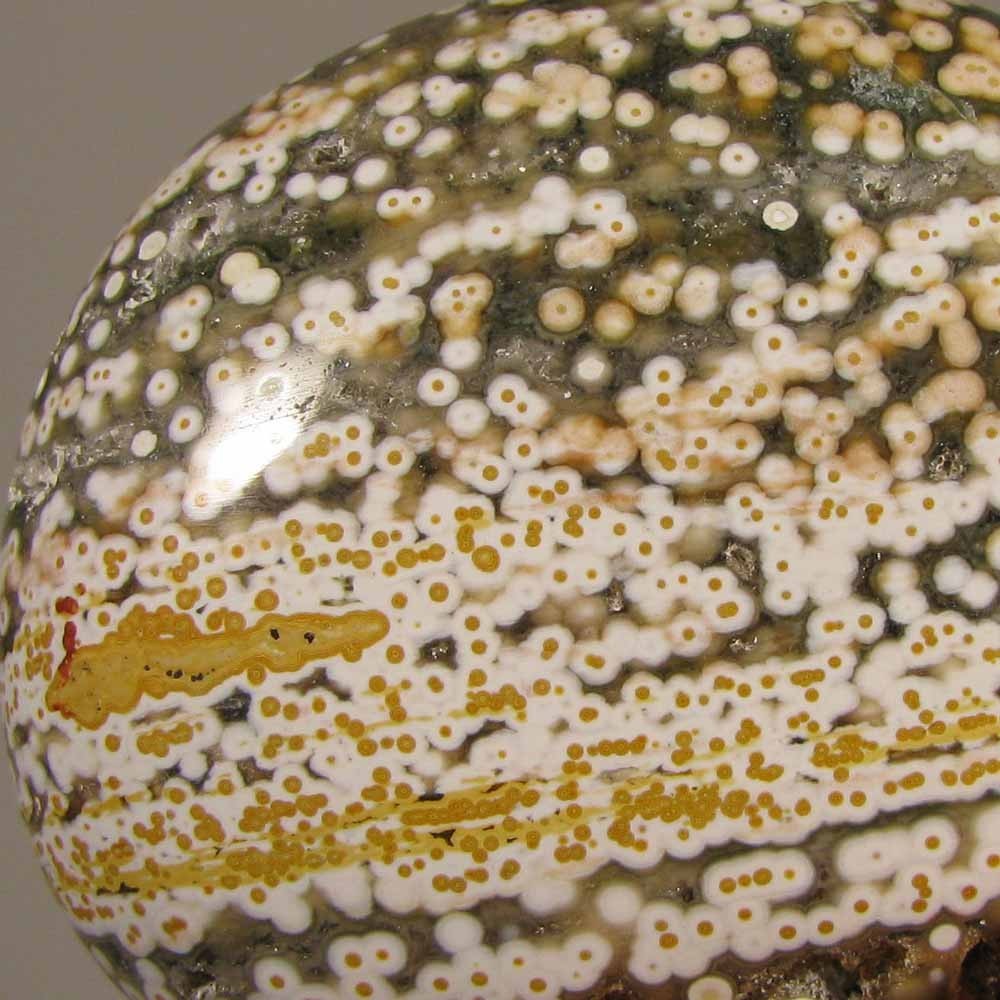 2.4″ OCEAN JASPER Polished Palm Stone Healing – Madagascar
