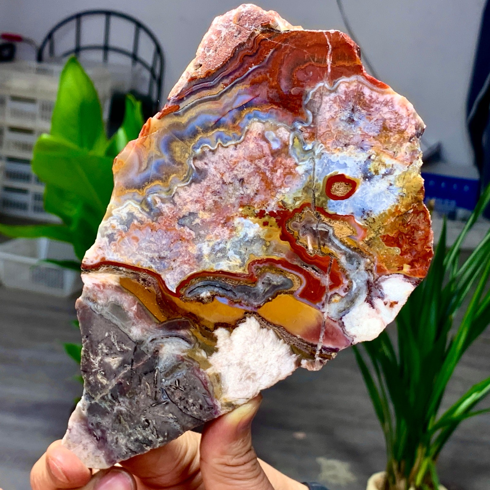 449G Natural Red Crazy Ribbon Lace Agate Crystal Polishing Sheet Mexico Repair