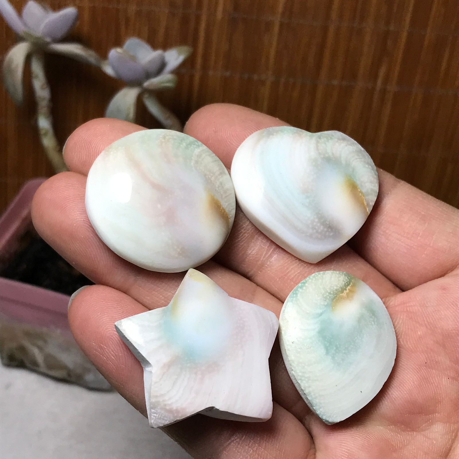 4Pcs Natural sun shell star Heart Reiki Shiva Eye ocean quartz carve A3334