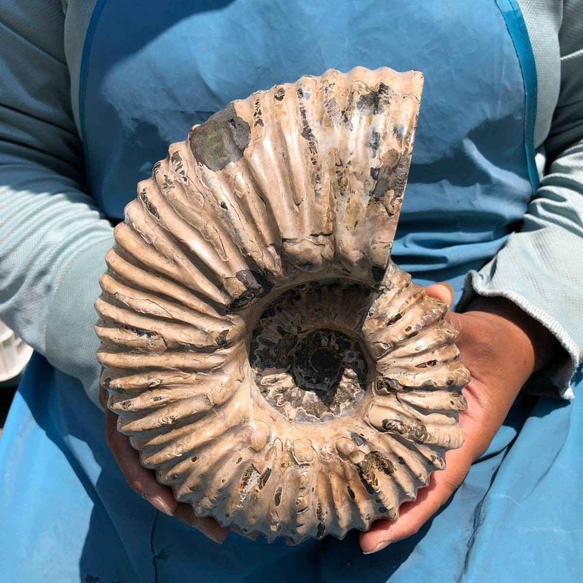7.63LB Natural Beautiful Ammonite Fossil Conch Crystal Specimen Healing 5391