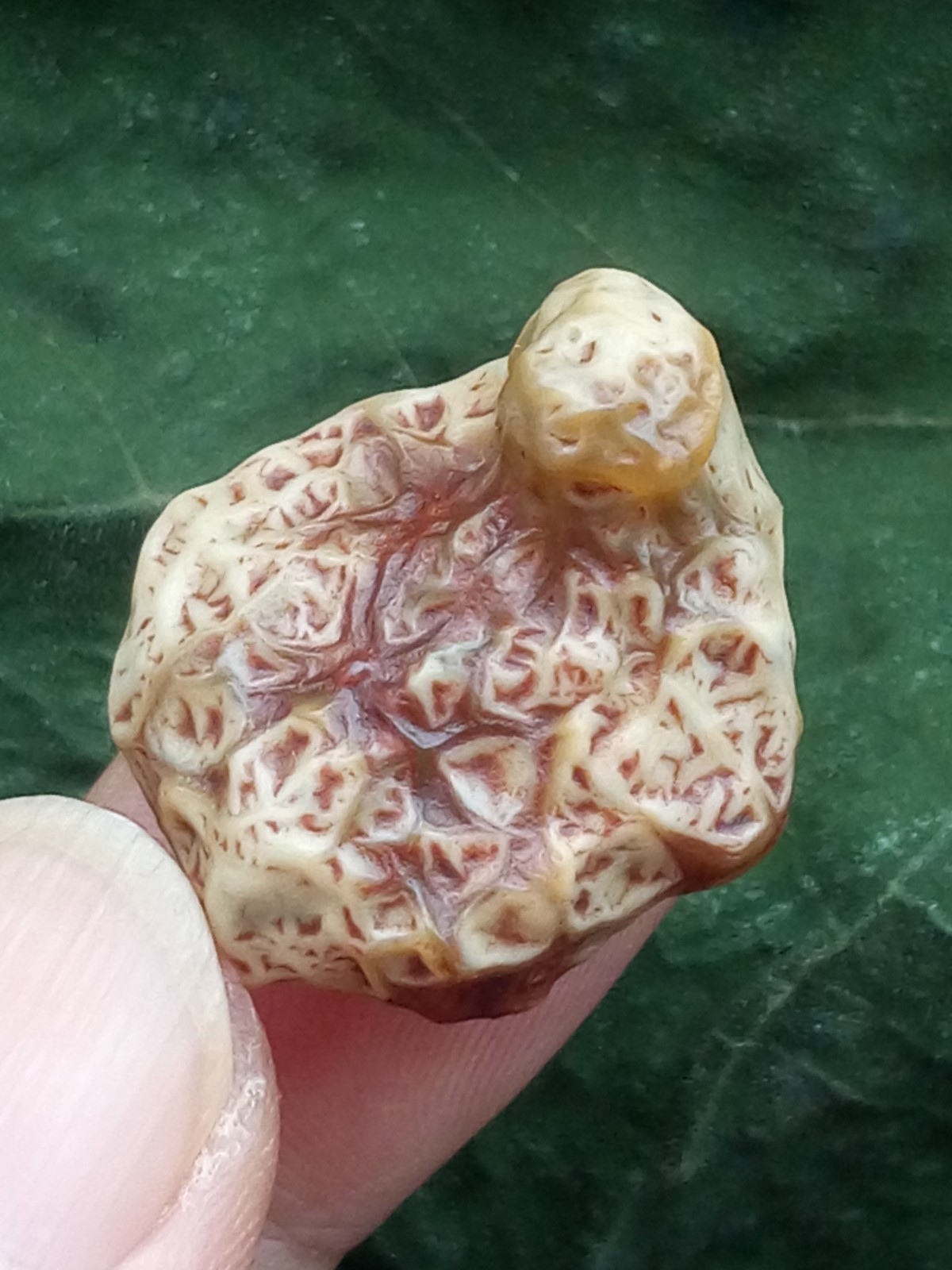 26mm Beautiful Natural GoBi agate veins agate collection