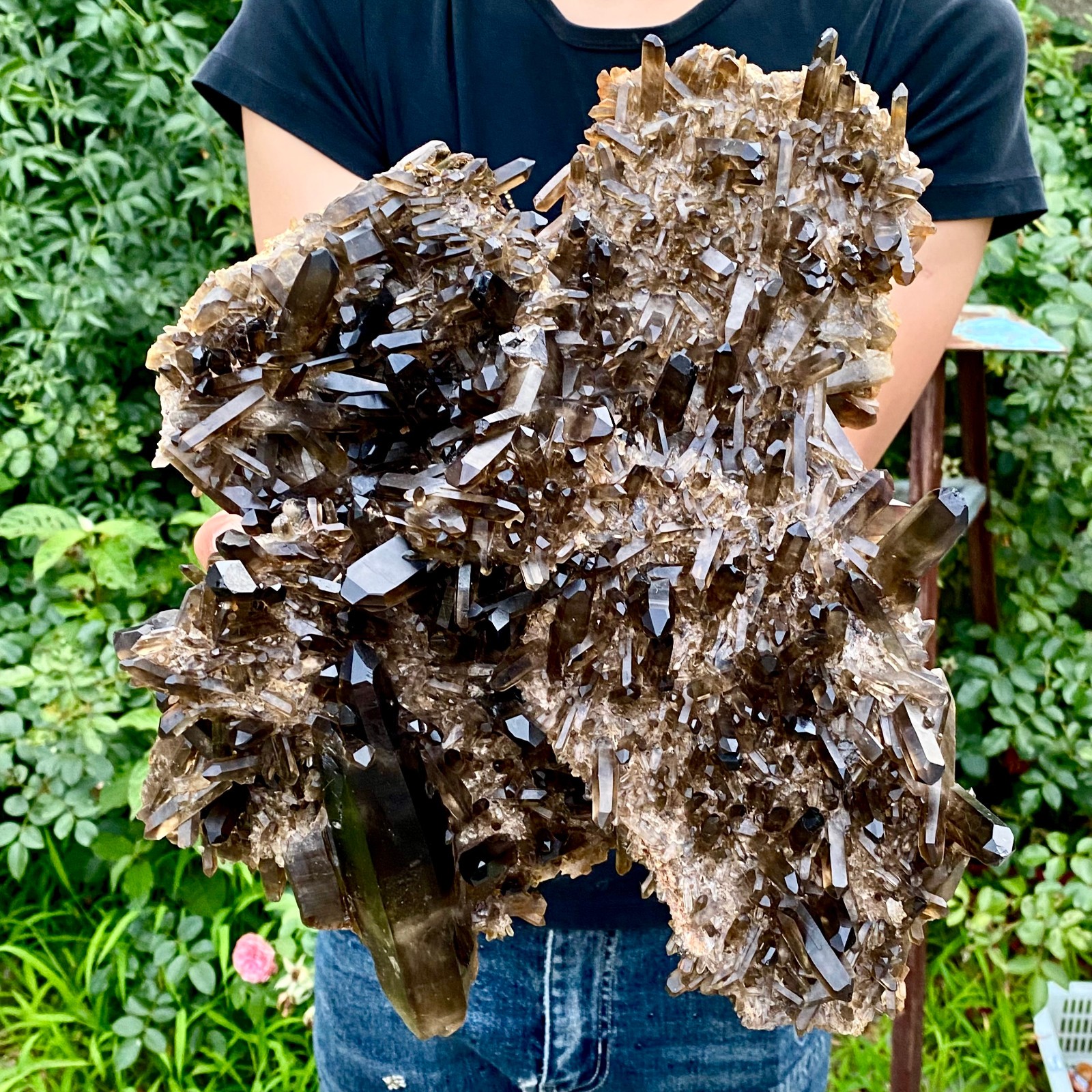 10.8LB Natural Tea black Crystal quartz Cluster Mineral Specimen Healing reiki