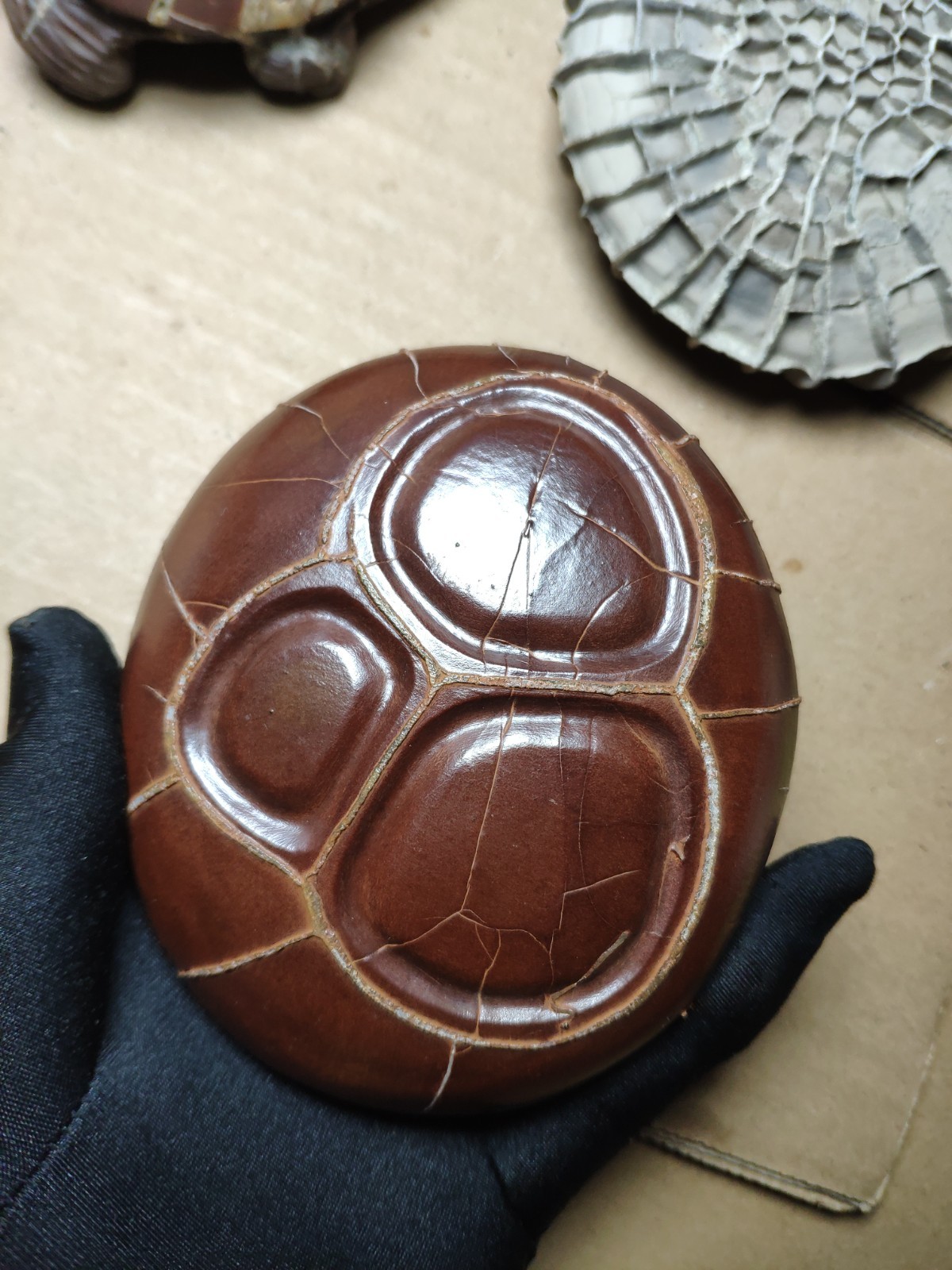 680g beautiful Natural tortoise back pattern stone Landscape stone