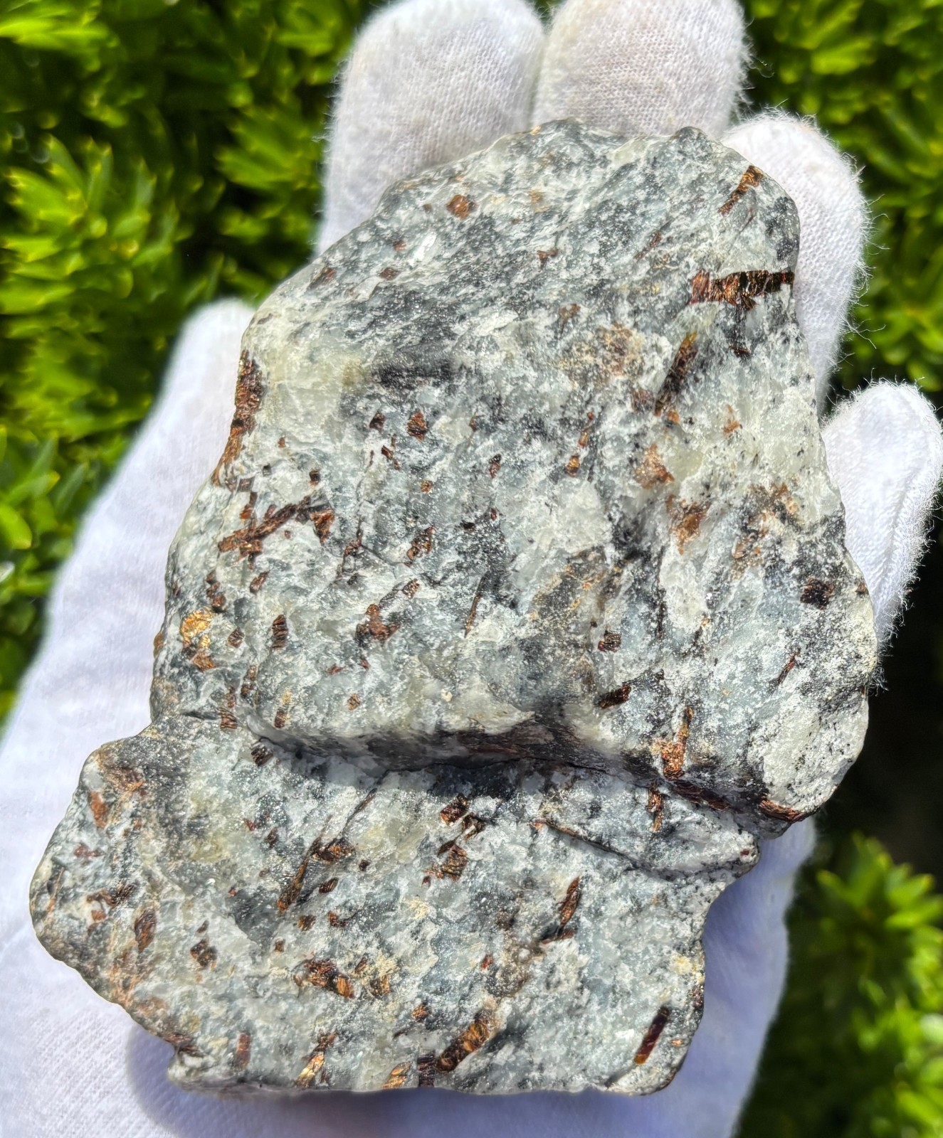 USA SALE SEE VIDEO 4″ 309g 2/3LB AUTHENTIC ASTROPHYLLITE ROUGH SPECIMEN LAPIDARY