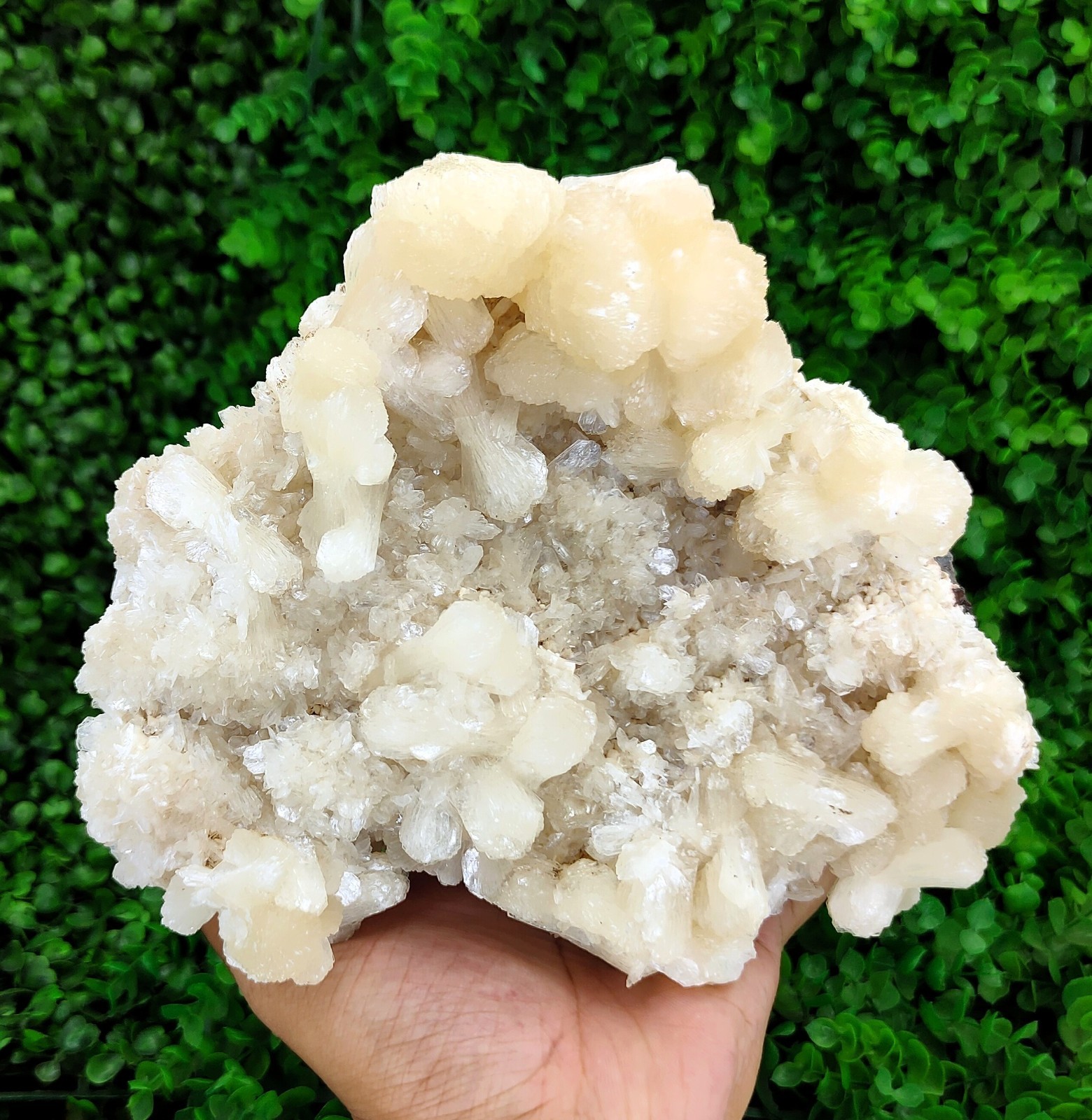 Big Natural Bow Tie Stilbite Cluster On Heulandite Minerals #51