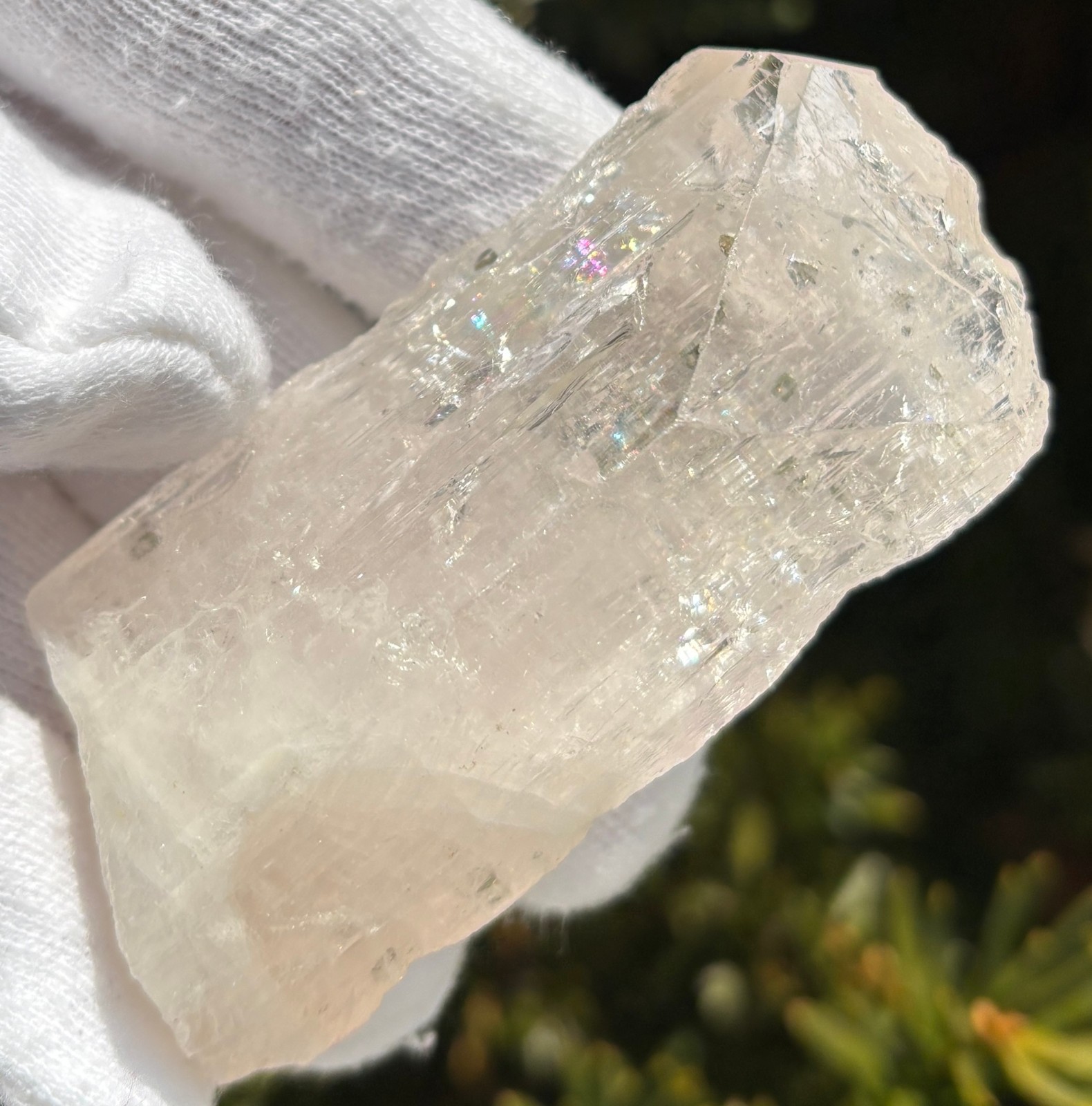 USA SALE *SEE VIDEO* 50g 2.5″ DANBURITE CRYSTAL SPECIMEN CLEAR CLARITY ETCHED