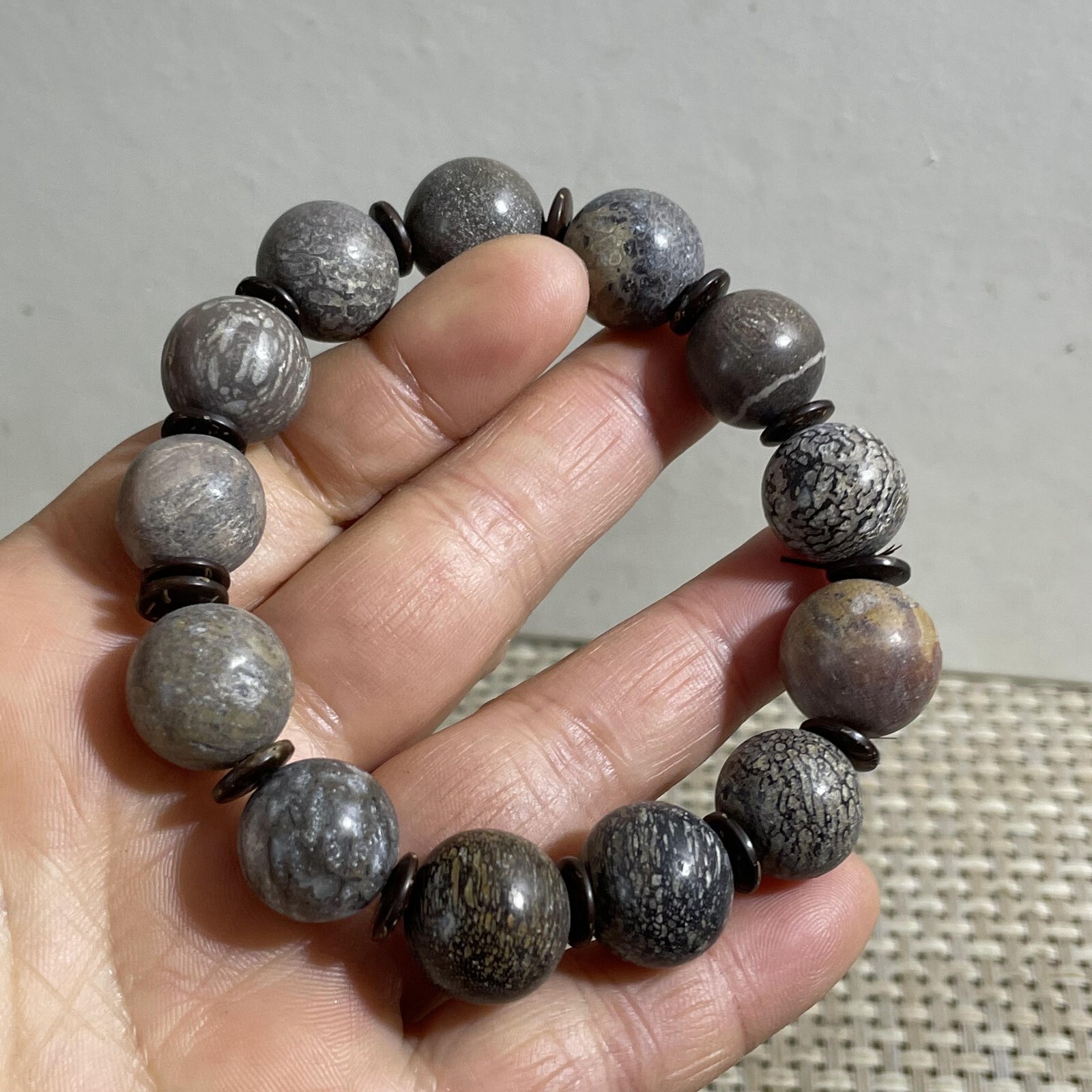 52g 14mm Madagascar polished bone bracelet specimen