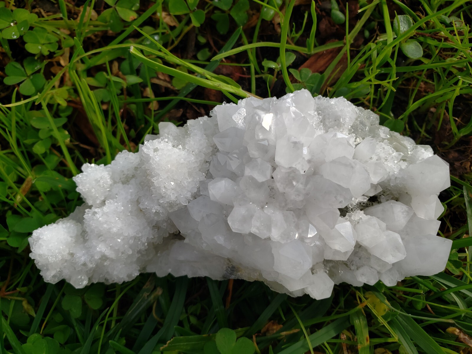 Natural White Quartz Crystal on Fluorite Cluster Specimen, 175g or 6.2oz