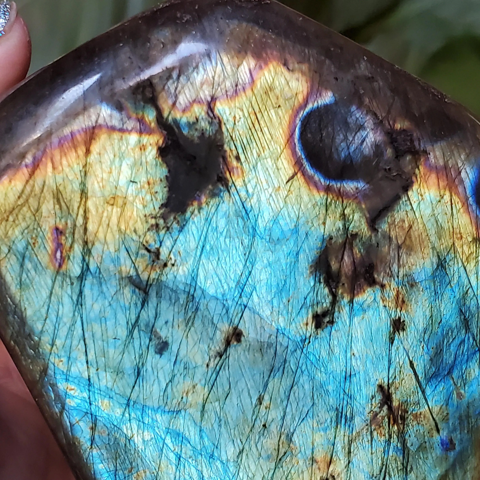 Labradorite Spectrolite Blue & Yellow Flash Crystal Slab Freeform 952 grams