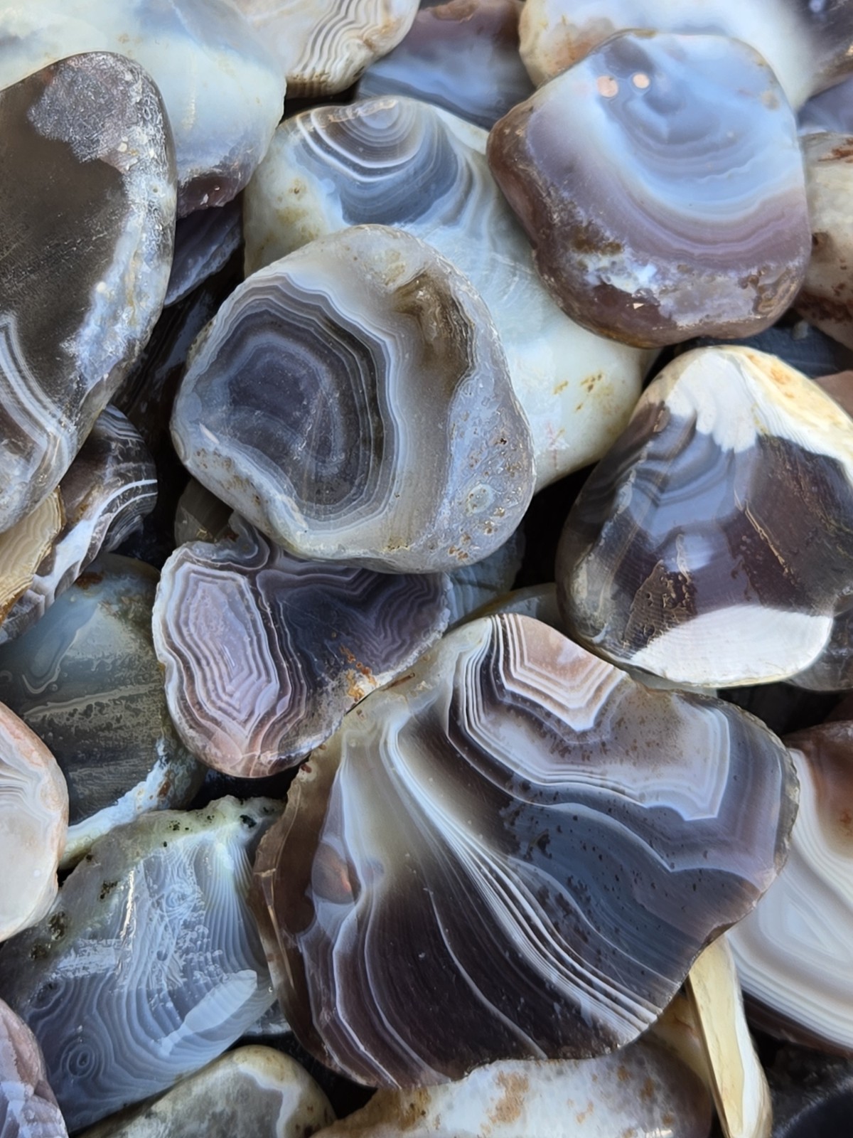 Botswana Agate rough 1-2″ A+ pound lbs tumbling lapidary banding wholesale bulk