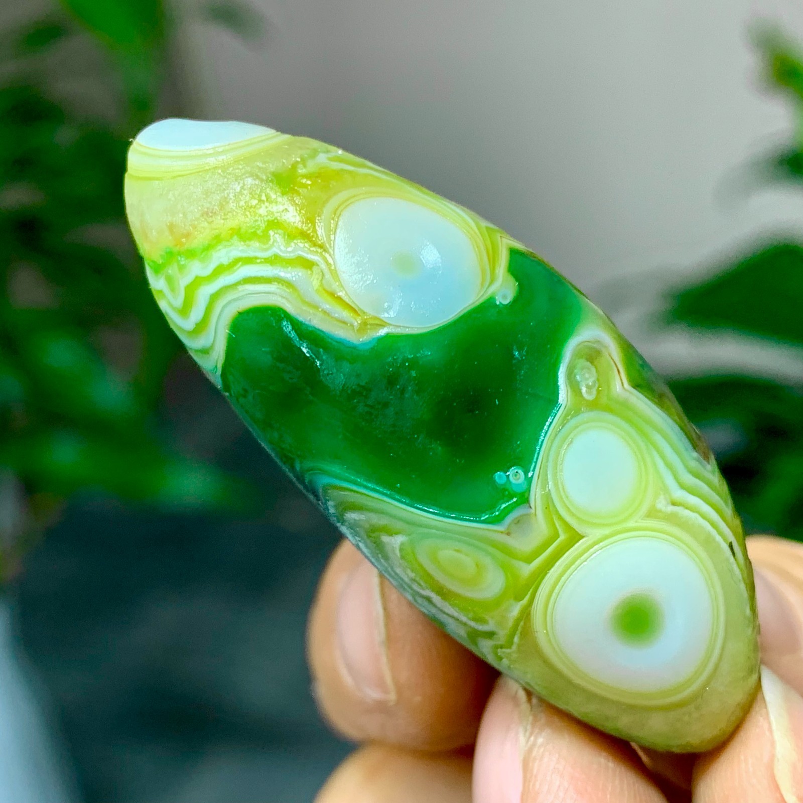 28G Natural green gobi agate eye crystal Circular pattern mineral healing B205