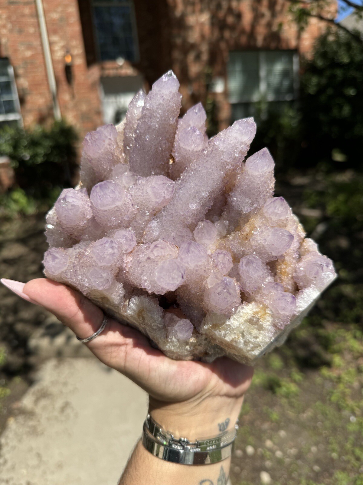 High Grade XXL (5.7lbs) Long Finger Deep Lavender Spirit Cactus Quartz cluster