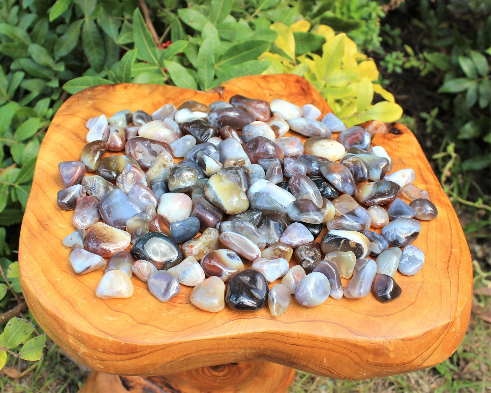2 oz Lot Botswana Grey Agate Tumbled Stone Crystal Healing Gemstone