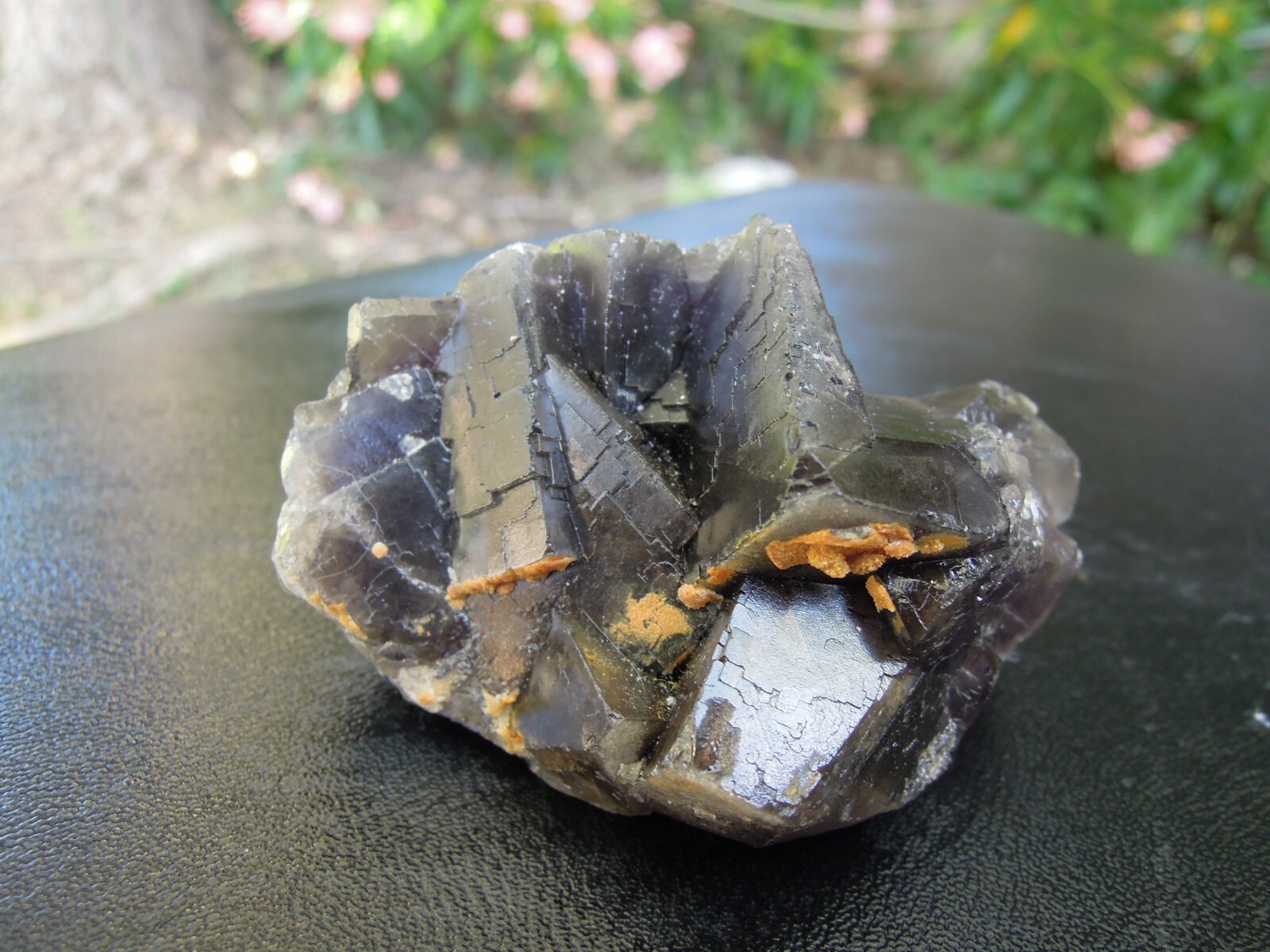 176g Natural Dark Blue Fluorite Crystal Cluster Mineral Speciman