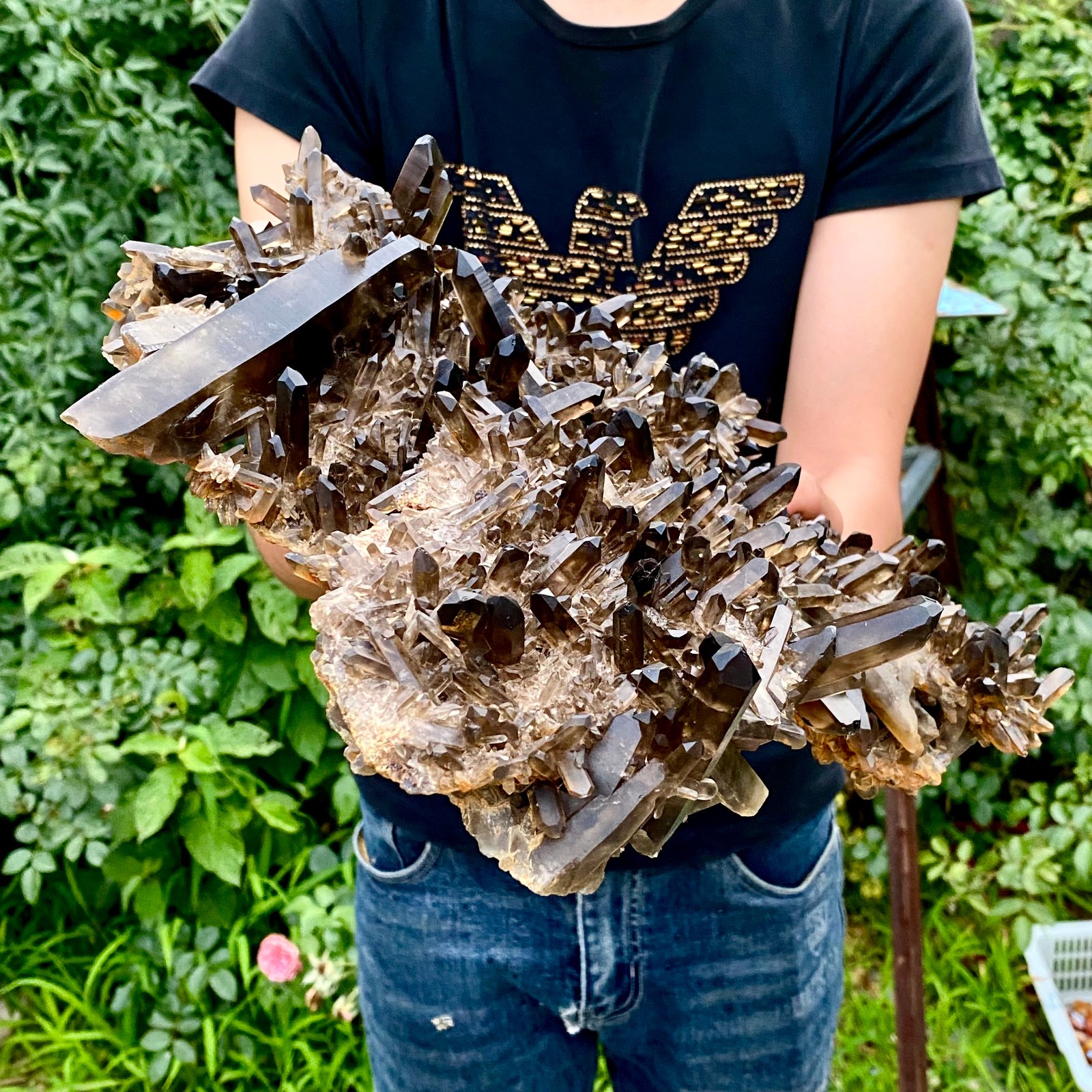 10.8LB Natural Tea black Crystal quartz Cluster Mineral Specimen Healing reiki
