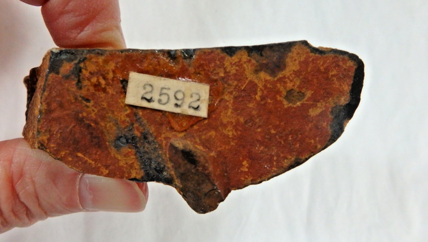 Stunning Tiger’s Eye Chatoyancy Shimmering Golden 97.7 grams Old Stock