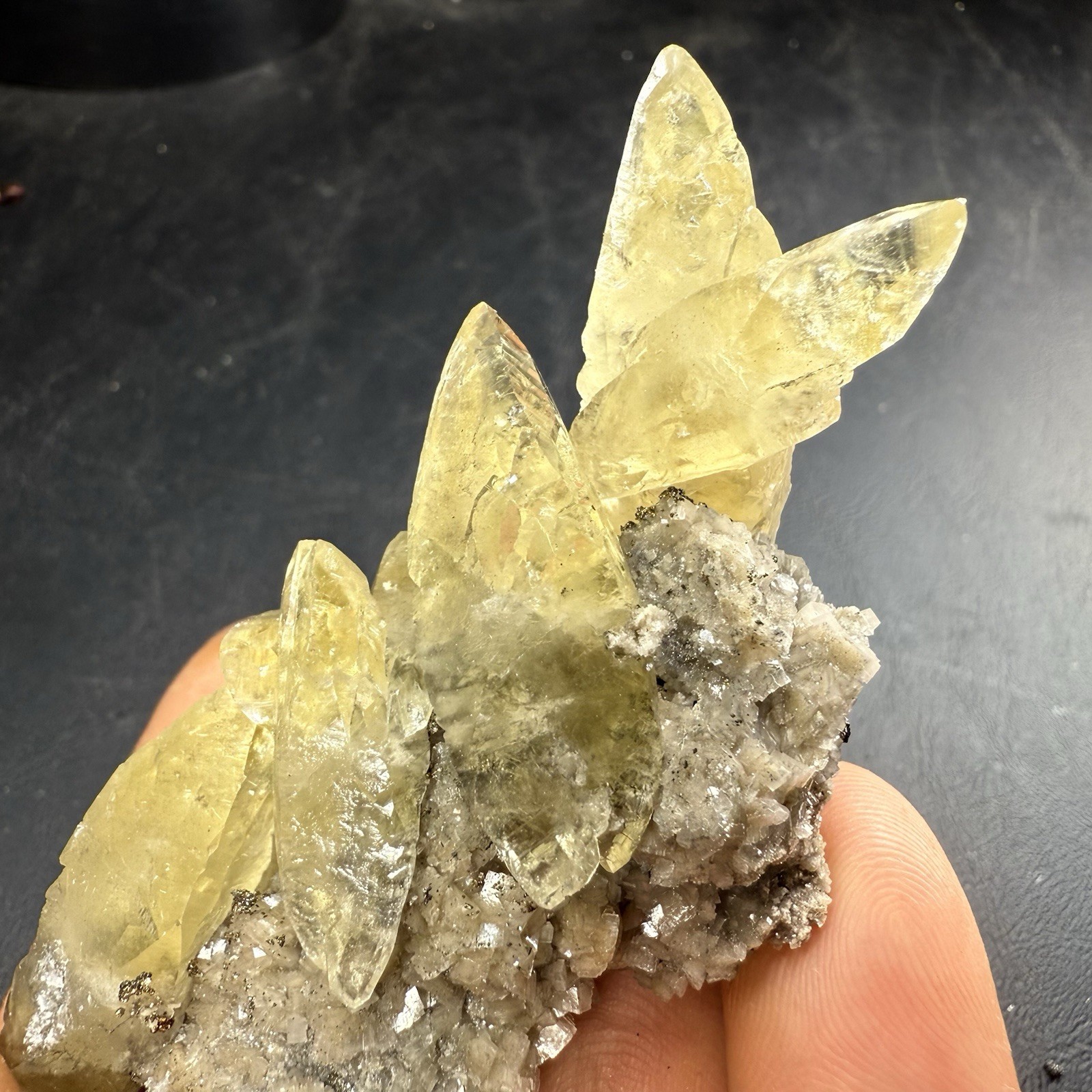 Golden Calcite Crystals on Chalcopyrite Dolomite Pyrite Matrix / Missouri